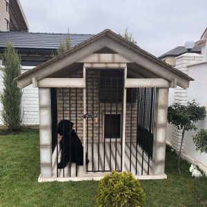 Будка с вольером