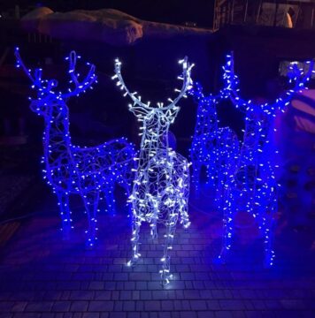 Новогодние Олени {{brizy_dc_image_alt imageSrc=